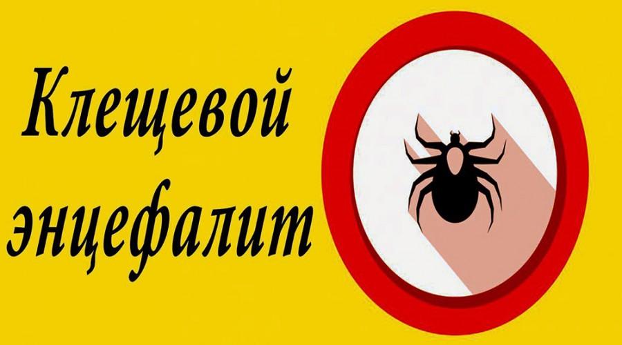 Клещи.